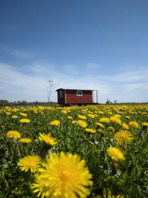 Gula Vagnen på en äng i lantlig miljö, Hörby